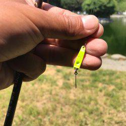 初のエリアトラウト！