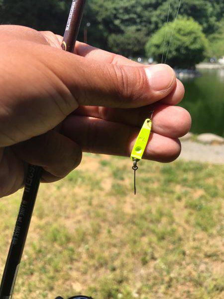 初のエリアトラウト！