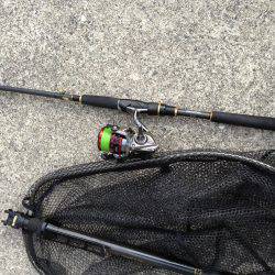 ツバス爆釣と言っても良いですか