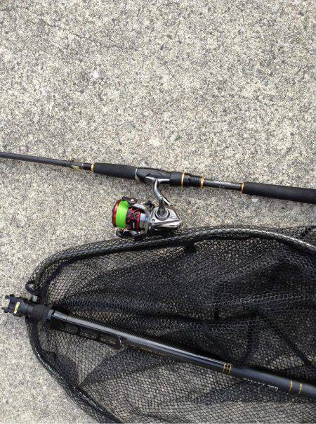 ツバス爆釣と言っても良いですか