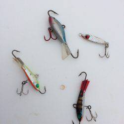 ファミリーフィッシング