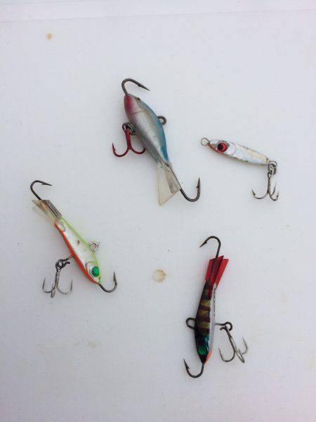 ファミリーフィッシング