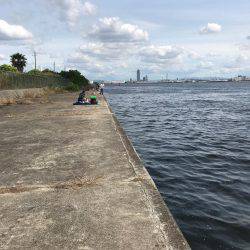 エビ撒きでスズキ!