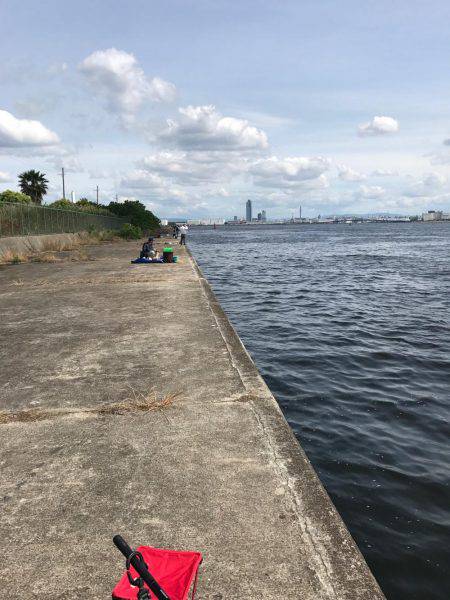 エビ撒きでスズキ!