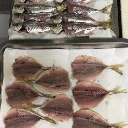 アジングしました！