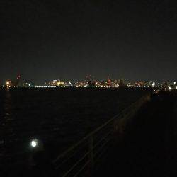 初めてのアジング