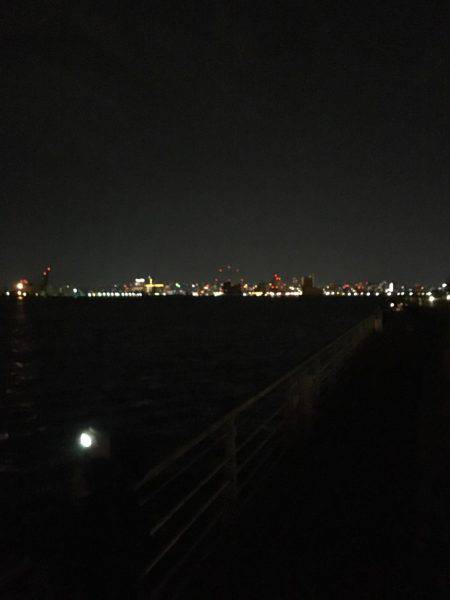 初めてのアジング