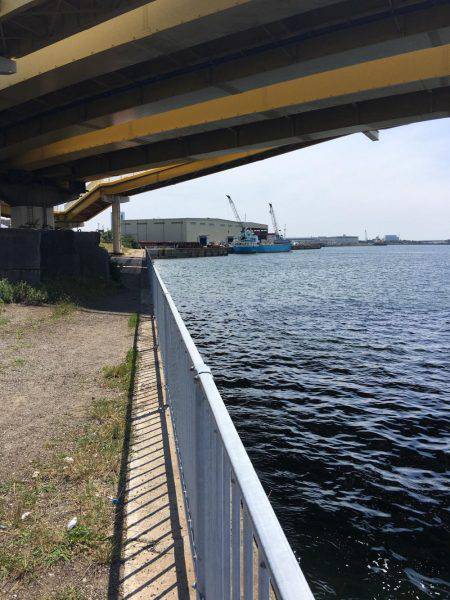 オクトパッシング