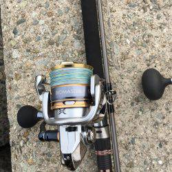 ブリどこ？サゴシパラパラ