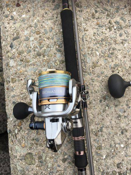 ブリどこ？サゴシパラパラ