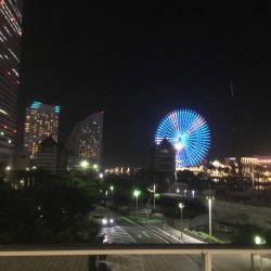 アジング！横浜！