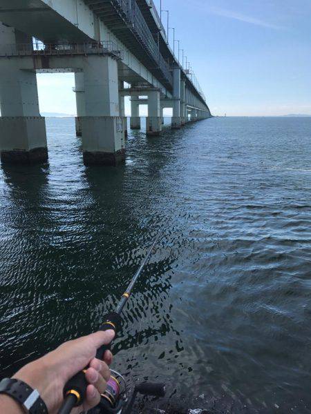 橋の下でツバス先輩