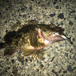 ロックフィッシュ