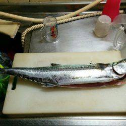 ぶり祭結果は。。。