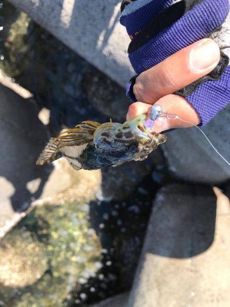 風がキツくてガシリング