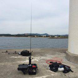 淡路ライトゲーム