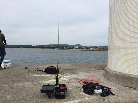 淡路ライトゲーム