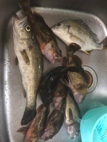 コツ掴みました