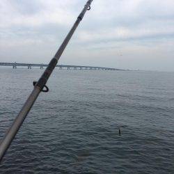 人混みを避けて