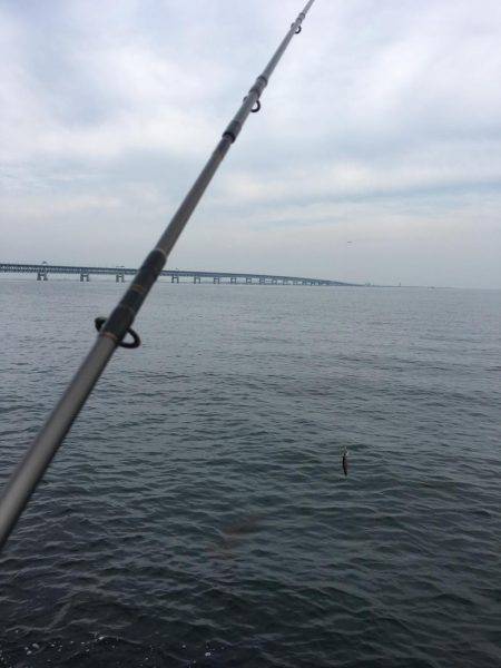 人混みを避けて