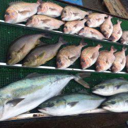 釣堀マルチョウ@かなすび釣果