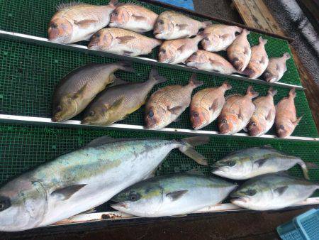 釣堀マルチョウ@かなすび釣果