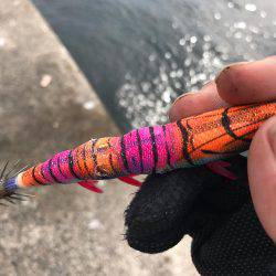 本当に最後に来ました春アオリ2.6キロ