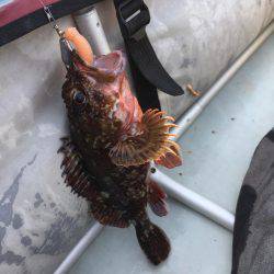 城崎近辺でカヤックフィッシング