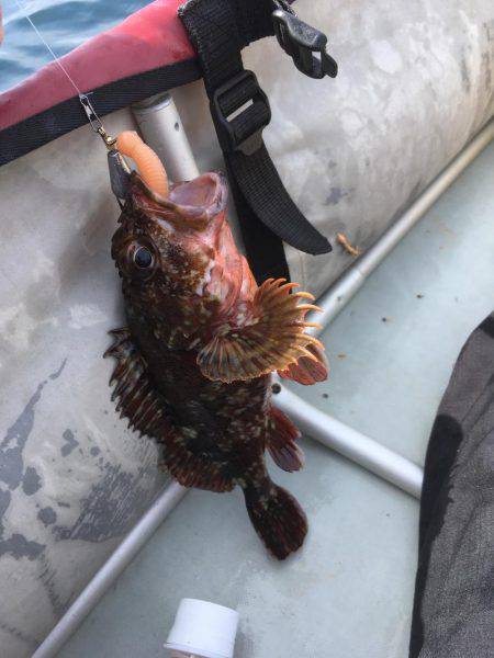 城崎近辺でカヤックフィッシング