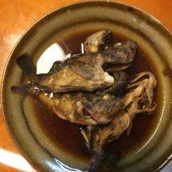 キャンプしてちょい釣り