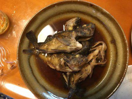 キャンプしてちょい釣り