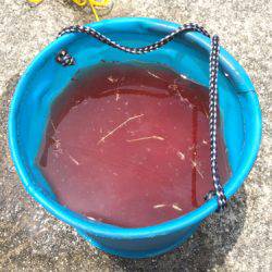 メタルバイブでツバス✕9