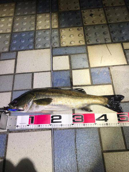 エリア10最強！