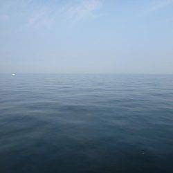 なんとか一匹…(´Д` )