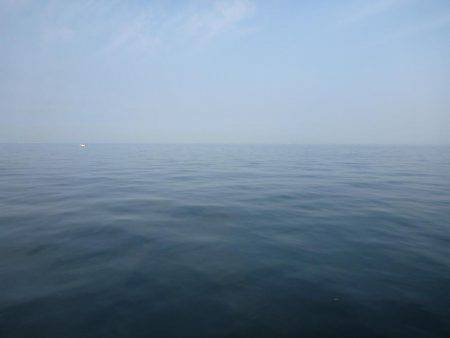 なんとか一匹…(´Д` )