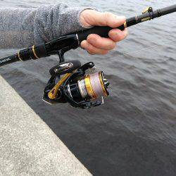 ツバースからの鯖