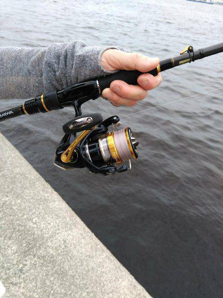 ツバースからの鯖