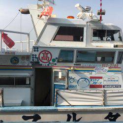 タコ一匹でした