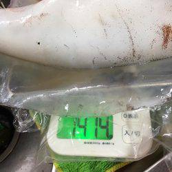 アジングでキロアップイカ