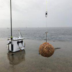 城ヶ島でダンゴ釣り！メジナ釣りたい！