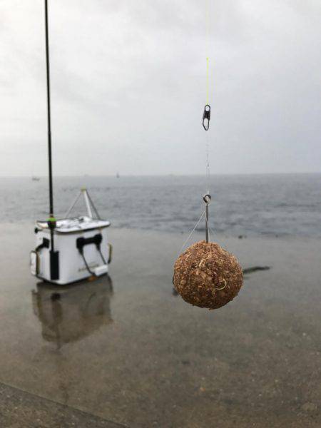 城ヶ島でダンゴ釣り！メジナ釣りたい！