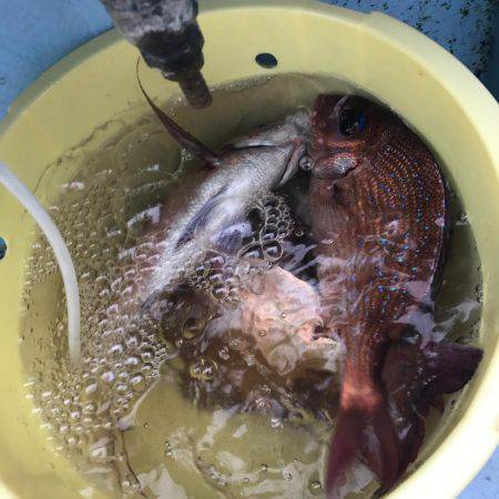 大原沖の一つテンヤ午後船