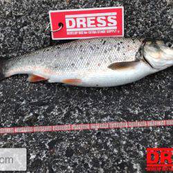 北海道ロックフィッシュはヤル気満々！