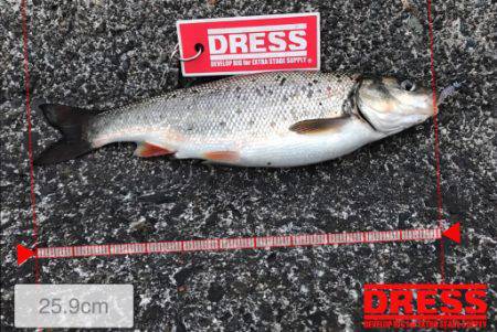 北海道ロックフィッシュはヤル気満々！