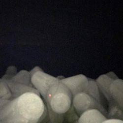 富山県魚津港フカセ夜釣り