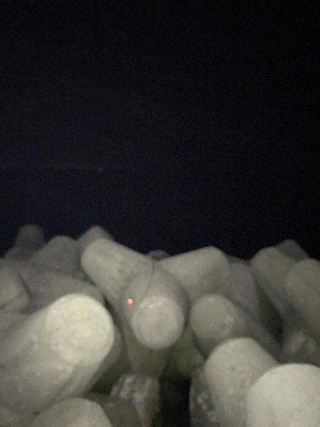 富山県魚津港フカセ夜釣り