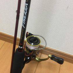 ガシラフィーバー！