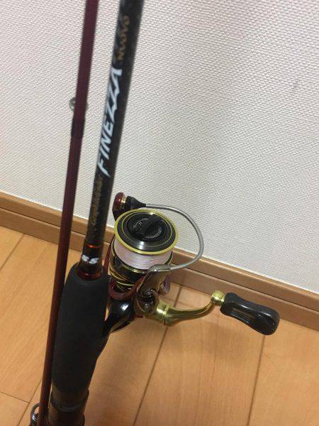 ガシラフィーバー！