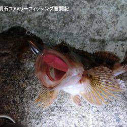 ジグヘッドがいくらあっても足りない