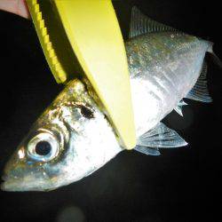 調子出てきました